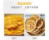 “雙胞胎”蔬菜脫水機，恍恍惚惚中哪個才是你要找的？